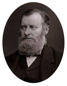 William Edward Forster 1818-1886, spätes 19. Jahrhundert von Unbekannt