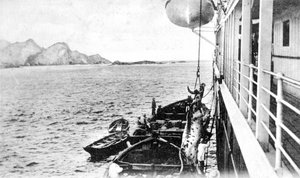 Eine Kuh an Bord eines Bootes vor der Küste Chiles, um 1900er Jahre