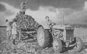 Frauenlandarmee hebt eine Ernte, Zweiter Weltkrieg, 1940 von Unbekannt