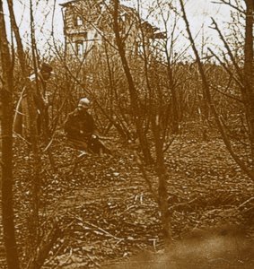 Holz, ca. 1914-1918