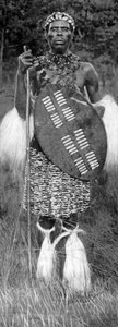 Zulu-Häuptling, 1926