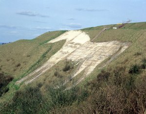 Das Westbury White Horse