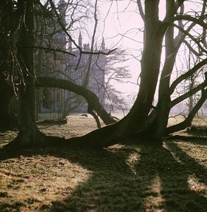 Ansicht der Nordfront, Corsham Court, Wiltshire