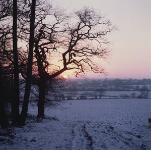 Winterszene im Schnee, Hockley, Essex