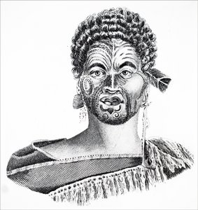 Ein Maori-Häuptling von Unbekannt