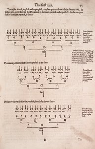 Eine einfache und leichte Einführung in die praktische Musik