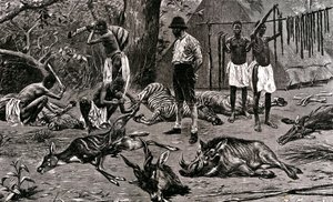 Ein großer Jagdtag! 1900