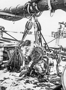 Admiral Robert Edwin Peary (1856-1920), amerikanischer Arktisforscher (Nordpol), hier auf der "Roosevelt" 1909