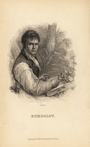 Alexander von Humboldt, deutscher Entdecker, Naturforscher und Botaniker