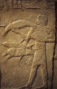 Altes Ägypten: Saqqara (oder Saqqarah oder Sakkara): Nekropole des Alten Reiches, Grab des Adligen. Detail der Reliefs, die einen Fischer darstellen