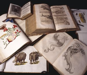 Alte Zoologiebücher