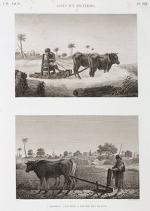 Ackerbau, Pflügen, Dreschmaschine und Pflug, Ägypten, ca. 1798 von Unbekannt