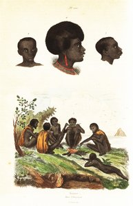 Australische Aborigines und Köpfe von Eingeborenen von Waigeo, West-Papua