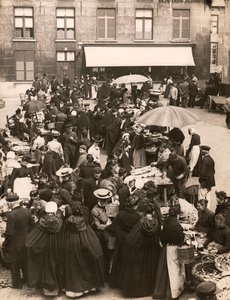 Belgischer Fischmarkt