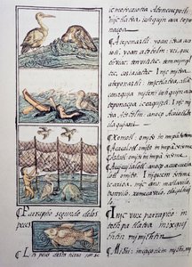 Vogeljagd am See von Benjamin Baud