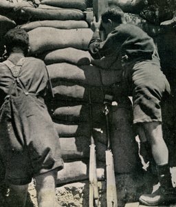 Britische Truppen kämpfen in Khaki-Drill-Shorts, Gallipoli-Halbinsel