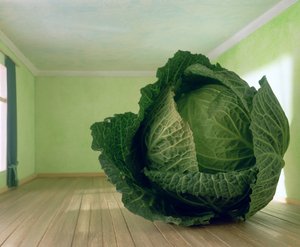 Kohl (nach Magritte)