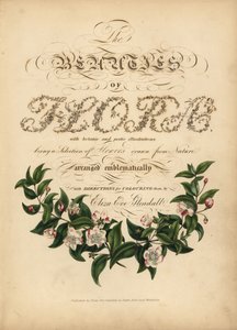 Kalligraphische Titelseite mit botanischer Vignette