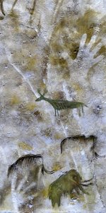 Höhlenmalereien in der Höhle von Altamira (Foto) von Leopold Blonder