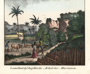 Chamarro-Bauern pflügen ein Feld und ziehen Pflanzreihen auf dem Marianen-Archipel (USA). Illustration aus Voyage Around the World (1824) von Louis de Freycinet (1779-1842). Lithographie aus dem Buch: „Galerie complète en tableaux fidèles des peu