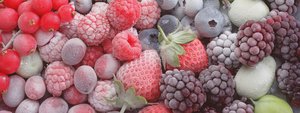Gekühlte Beeren von Unbekannter Künstler
