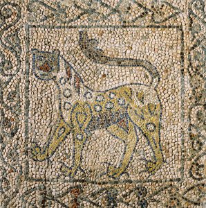 Kirche des Heiligen Johannes Evangelist, Vierter Kreuzzug, Fragmente von Mosaikböden, die einen gefleckten Panther darstellen, Ravenna, Emilia-Romagna, Italien