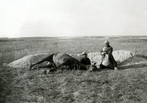 Erster Weltkrieg 14-18 (1914-1918): drei französische Soldaten begraben ein totes Pferd - Fotografie auf Glasplatte