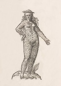 Frau des Cinnaminiae-Stammes