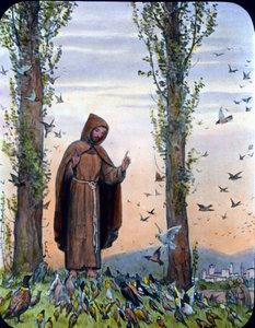 Franziskus