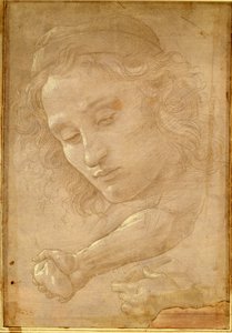 Kopf eines Jugendlichen, Zeichnung aus einer Seite des "Libro dei Desegni" von Georgio Vasari