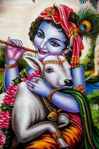 Hindu-Gott Krishna mit einem Kalb. Watford, Großbritannien. (Foto) von Unbekannt