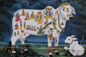 Hindu-Malerei. Heilige Kuh und Kalb. Indien