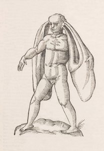 Homo fanesius auritus von Unbekannt