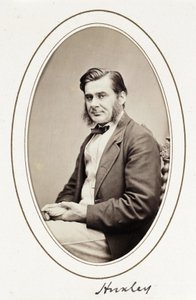 Huxley, ca. 1865 von Unbekannt