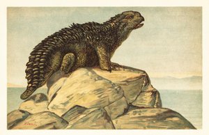 Hylaeosaurus armatus, ausgestorbener pflanzenfressender Ankylosaurier (Lithografie)