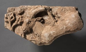 Ibex beim Fressen, ca. 400-600