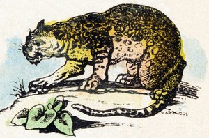 J - Jaguar - Alphabet - Kinderunterhaltung - Bild Epinal, populäre Serie ca. 1890 (Illustration)