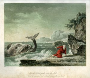 Jona und der Wal - Bibel von Unbekannter Künstler
