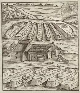 Die Vorbereitung des Salpeters - Gravur aus Beschreibung der Erze und der wichtigsten Methoden des Bergbaus, von Lazarus Ecker