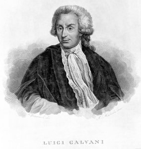Luigi Galvani, italienischer Physiologe, ca. 1770er von Unbekannt