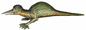 Meeresdrache (Draco marinus), Xylographie aus Paralipomena accuratissima historiae omnium animalium quae in voluminibus Aldrovandi desiderantur/Bartholomaeus Ambrosinus... summo labore collegit; Marcus Antonius Berna bibliopola bononiensis propri von Unbekannter Künstler
