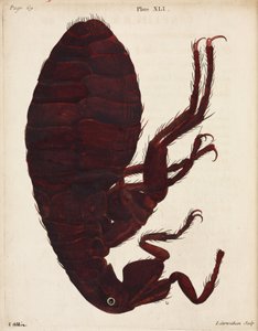 Mikroskopie