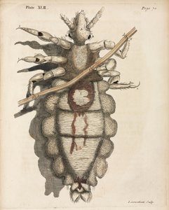 Mikroskopie
