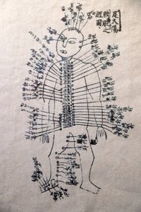 Museum für traditionelle vietnamesische Medizin, Die Kanäle und Gefäße, Buch der Akupunktur, Ho-Chi-Minh-Stadt, Vietnam