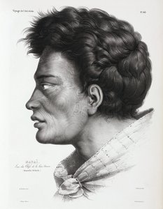 Natai, Maori-Häuptling aus Bream Bay, Neuseeland