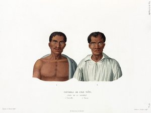 Einheimische der Insel Tahiti von Unbekannt