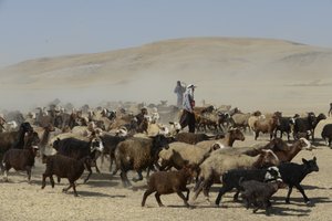 Nomadenzelte zwischen Tamar und Ashkhaneh, Iran 2022 von Unbekannter Künstler