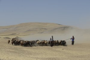 Nomadenzelte zwischen Tamar und Ashkhaneh, Iran 2022 von Unbekannter Künstler