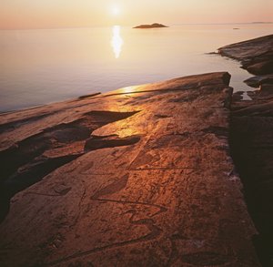 Onego-Petroglyphen, die Schwäne darstellen