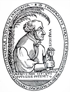 Paracelsus von Unbekannt
